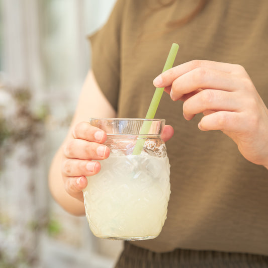 Turtle Reusable Drinking Straw - Ocean Green | Thurstee